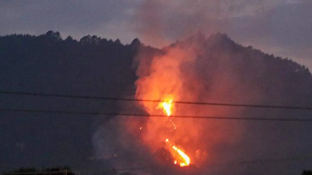 Unas 10 hectáreas afectadas es el saldo de cuatro incendios forestales provocados, en un bosque ubicado en las inmediaciones de la cabecera municipal de Huauchinango